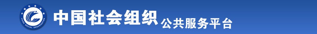 美女插鸡网站全国社会组织信息查询